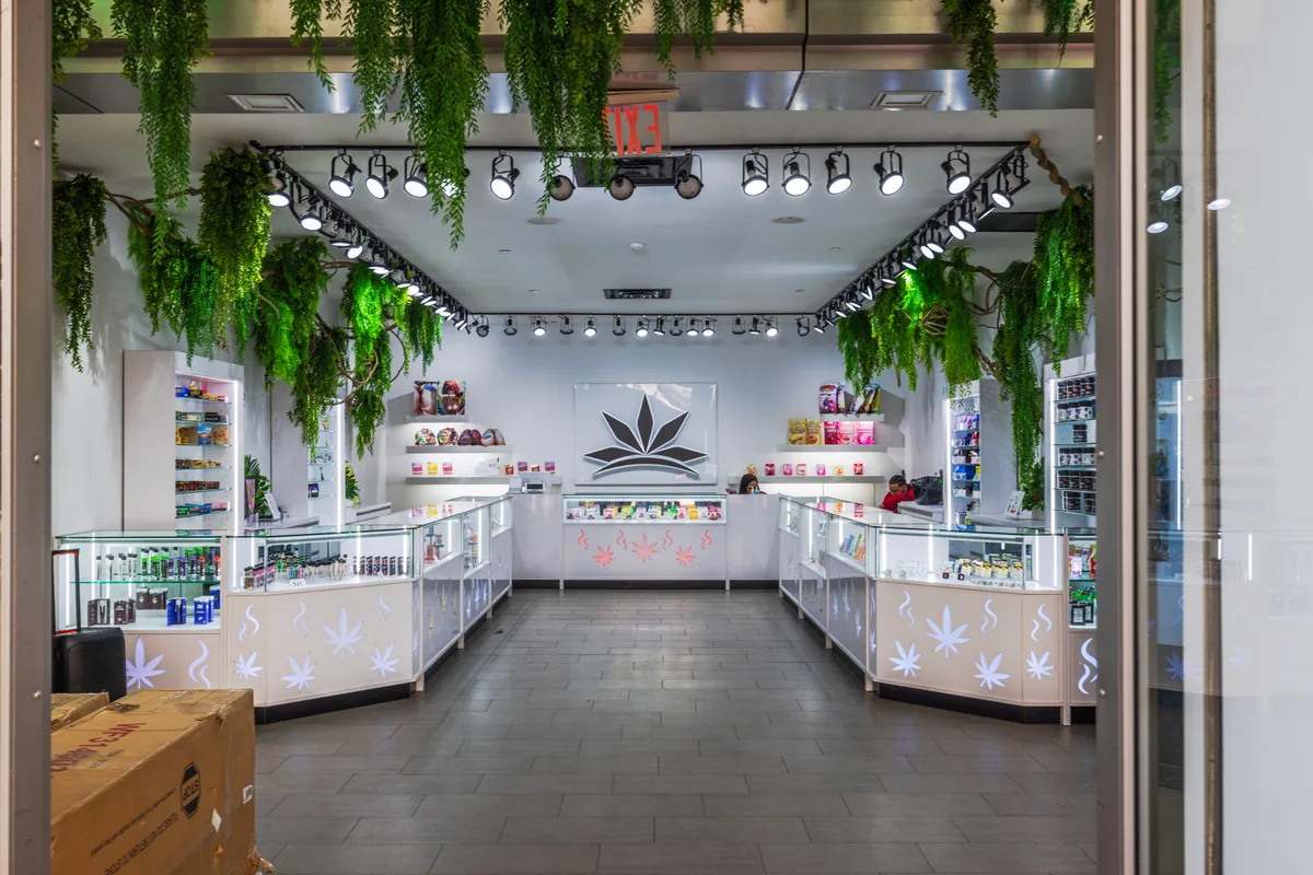 Staff member assisting a customer at a licensed cannabis dispensary counter