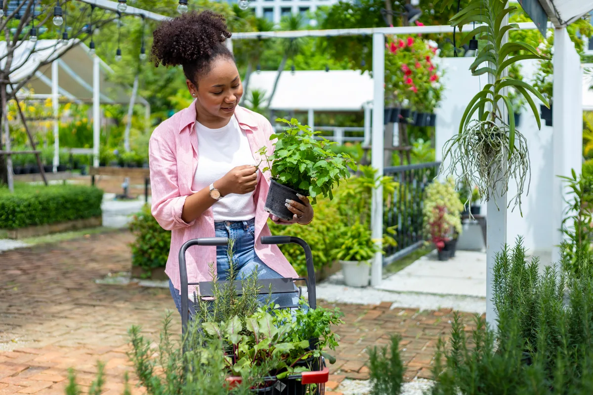 Garden centre owner reviewing spring sales figures