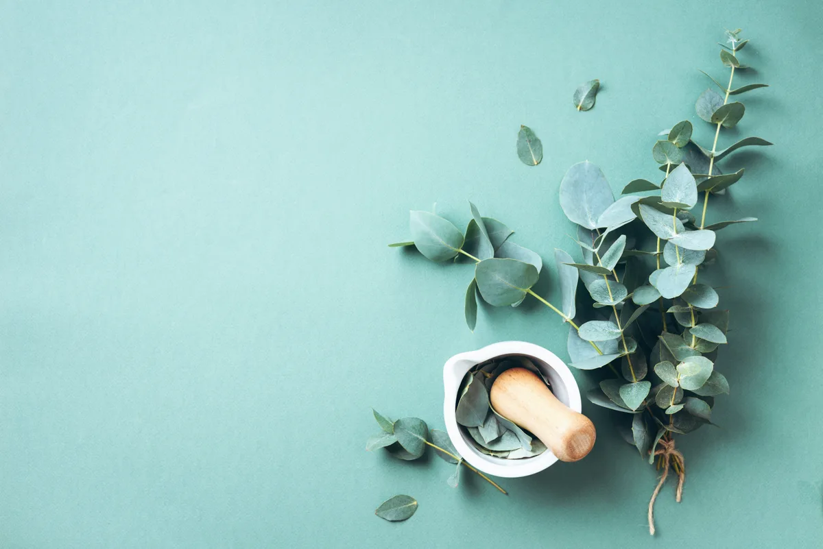 Naturopath consulting with a patient in a clinic office