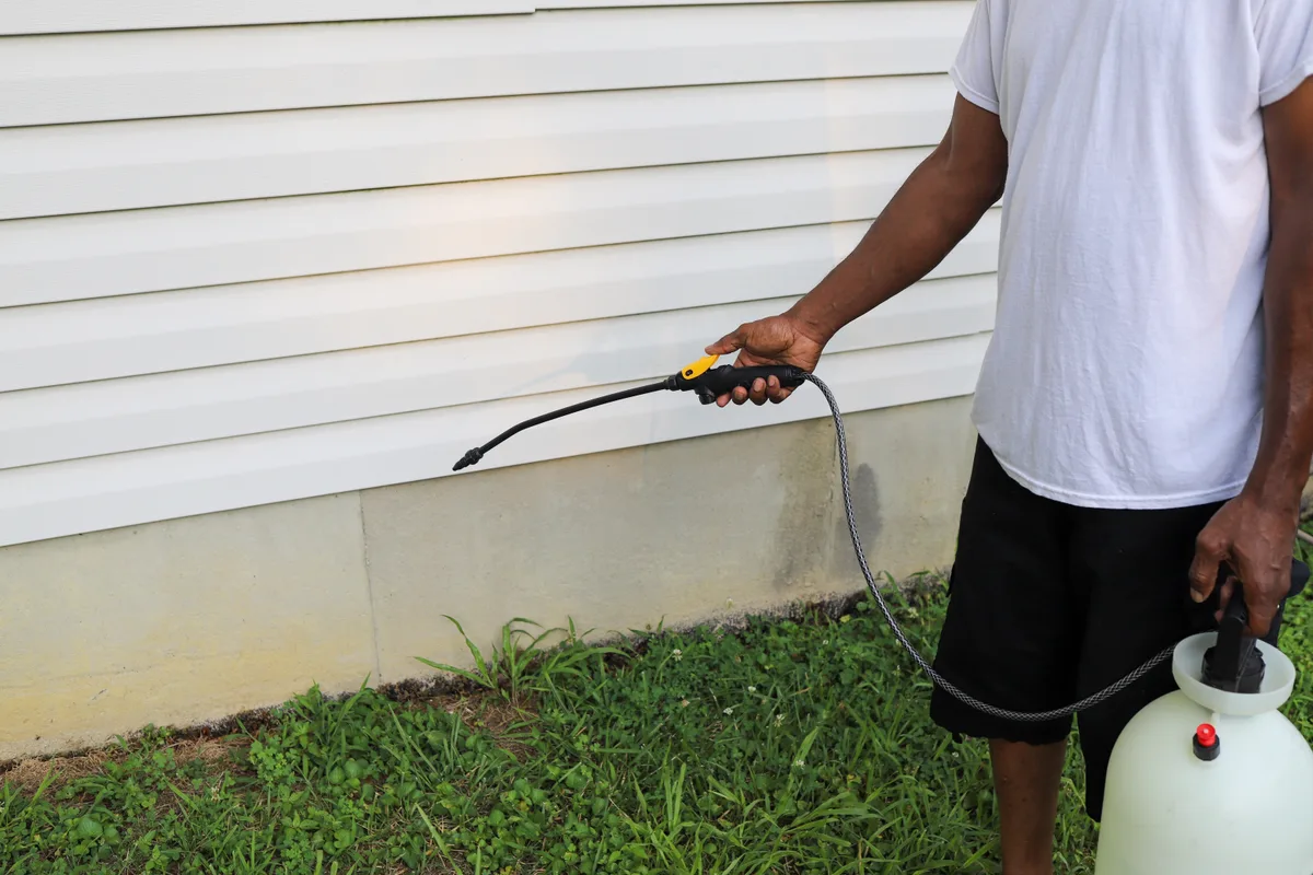 Pest control company owner reviewing route and revenue data